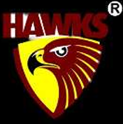 HAWKS logo